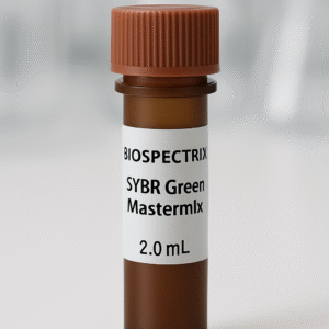 SYBR Green